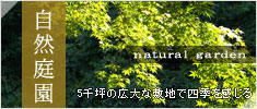 自然庭園 5000坪の広大な敷地で四季を感じる