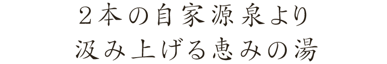 2本の自家源泉より汲み上げる恵みの湯